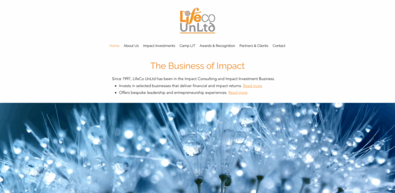 LifeCo UnLtd: Impact Consulting and Investment for Meaningful Change