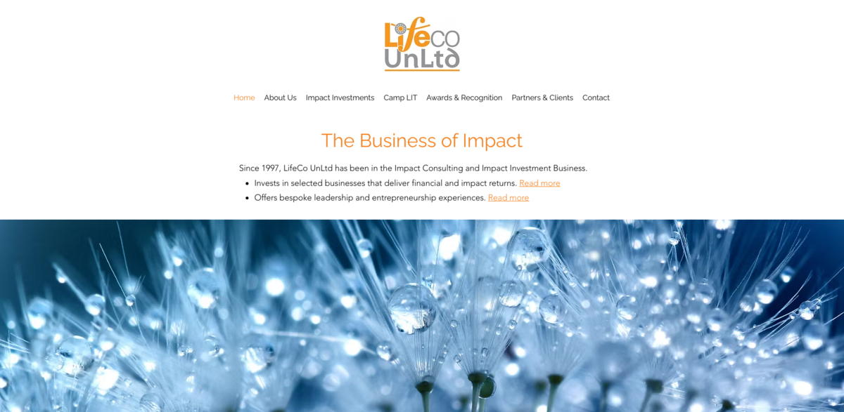 LifeCo UnLtd Impact Consulting