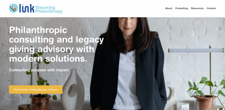 Link Elevating Philanthropy: Custom Strategies for Nonprofits and Philanthropists