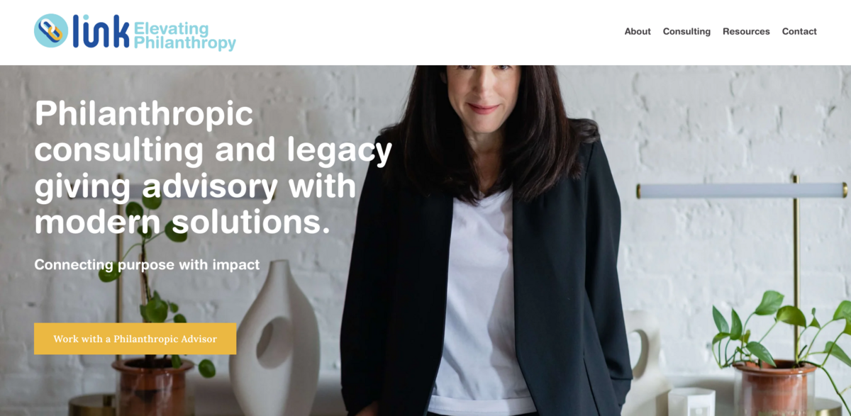 Link Elevating Philanthropy