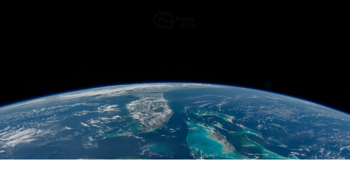 nature-based consultancy