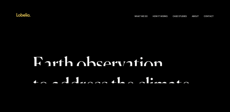 Lobelia Earth: Transforming Climate Data into Actionable Insights