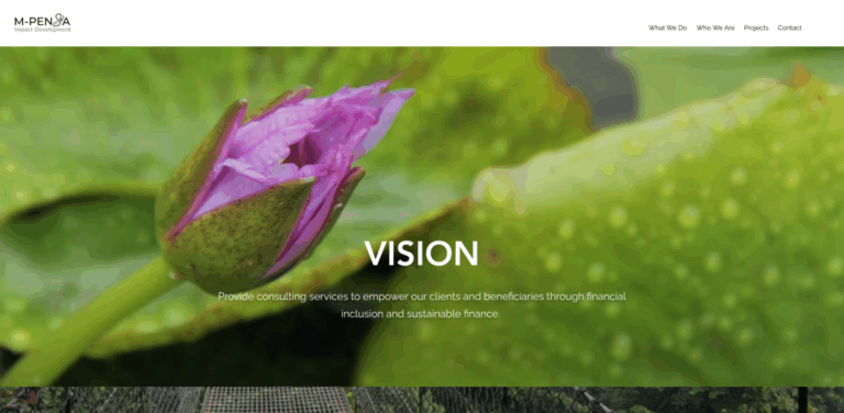 M-Pensa Impact & Development Services: Empowering Financial Inclusion and Sustainable Growth