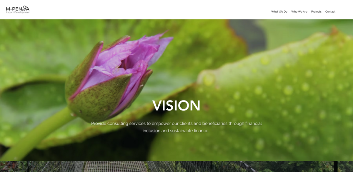 financial inclusion and sustainable finance