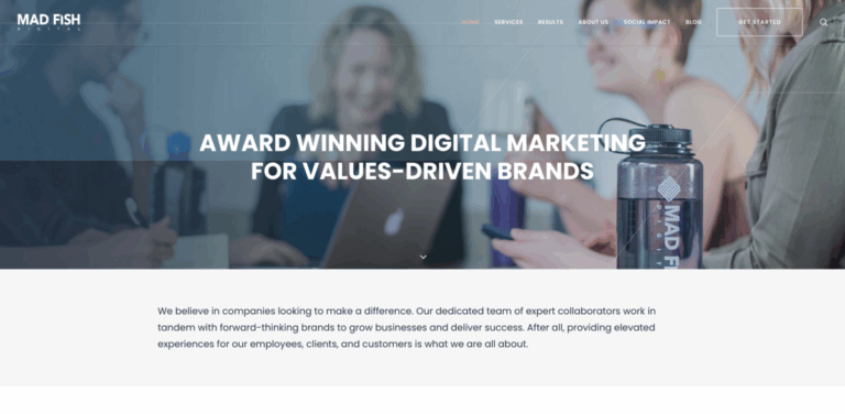 Mad Fish Digital: Ethical Digital Marketing for Values-Driven Brands