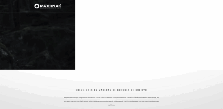 Maderplak: Sustainable Wood Sourcing for a Greener Future