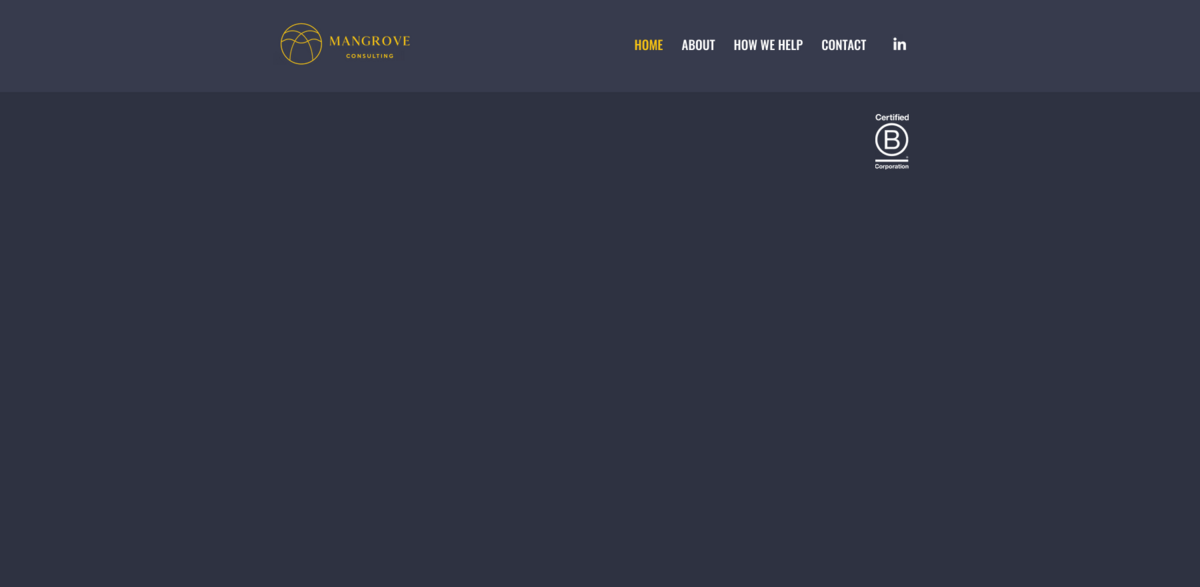 sustainable growth consulting