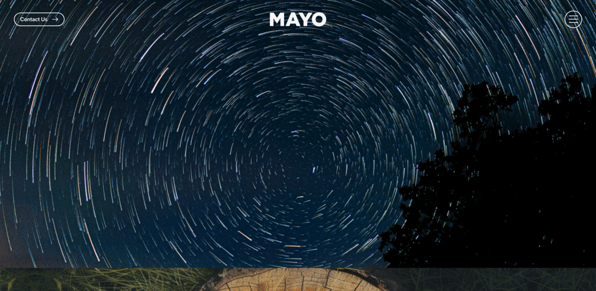 sustainable marketing agency