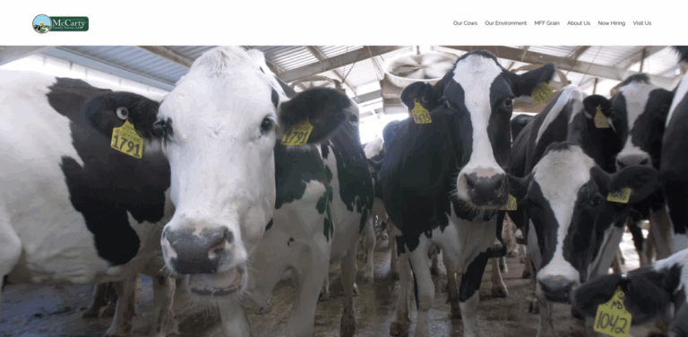 McCarty Family Farms: Sustainable Dairy and Grain Production in Kansas