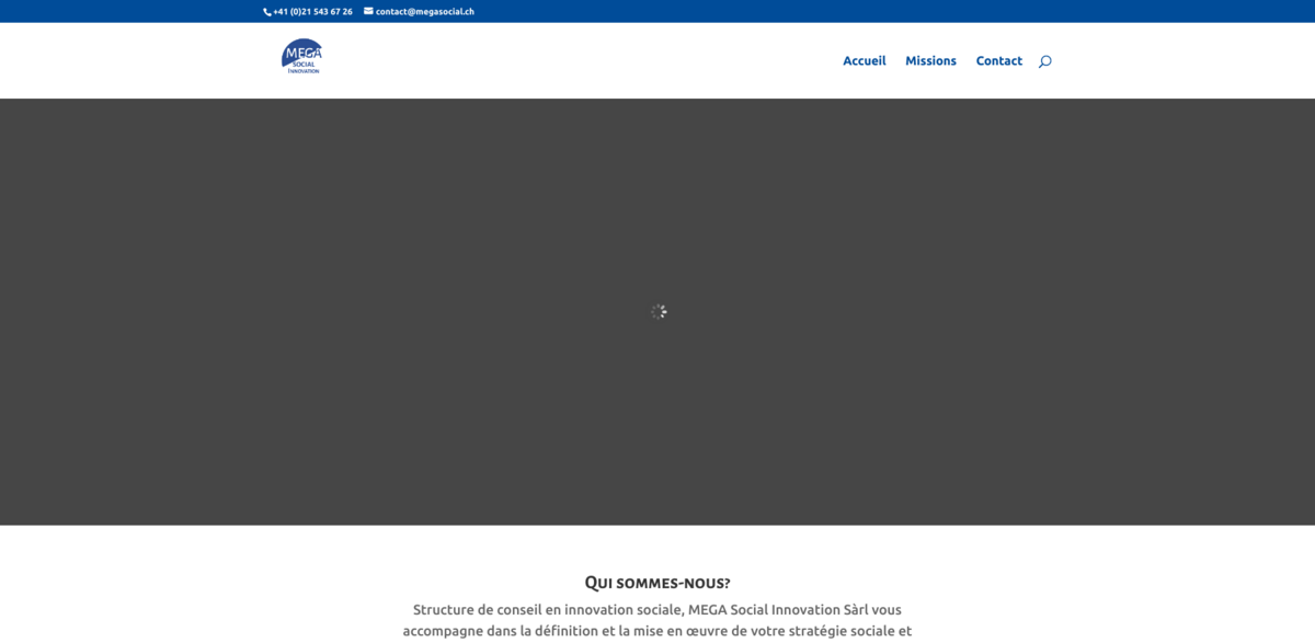 MEGA Social Innovation