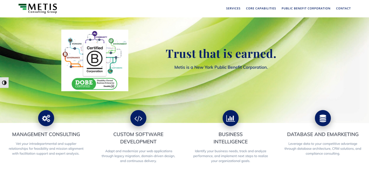 Metis Consulting Group