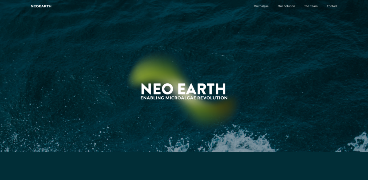 microalgae sustainability