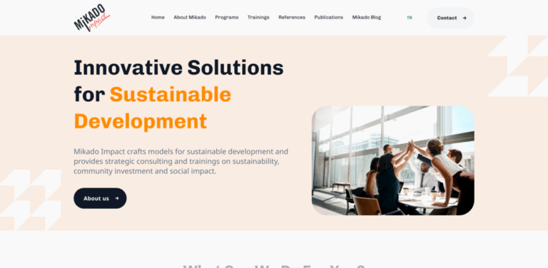 Mikado Impact: Innovative Solutions for Sustainable Development