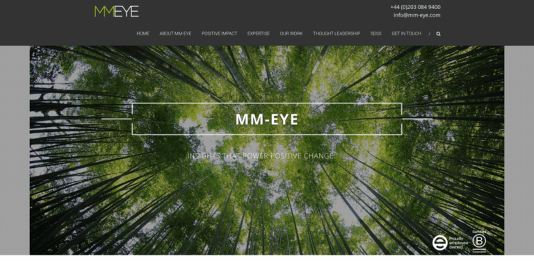 MM-Eye: Insight Agency Driving Sustainable Business Decisions