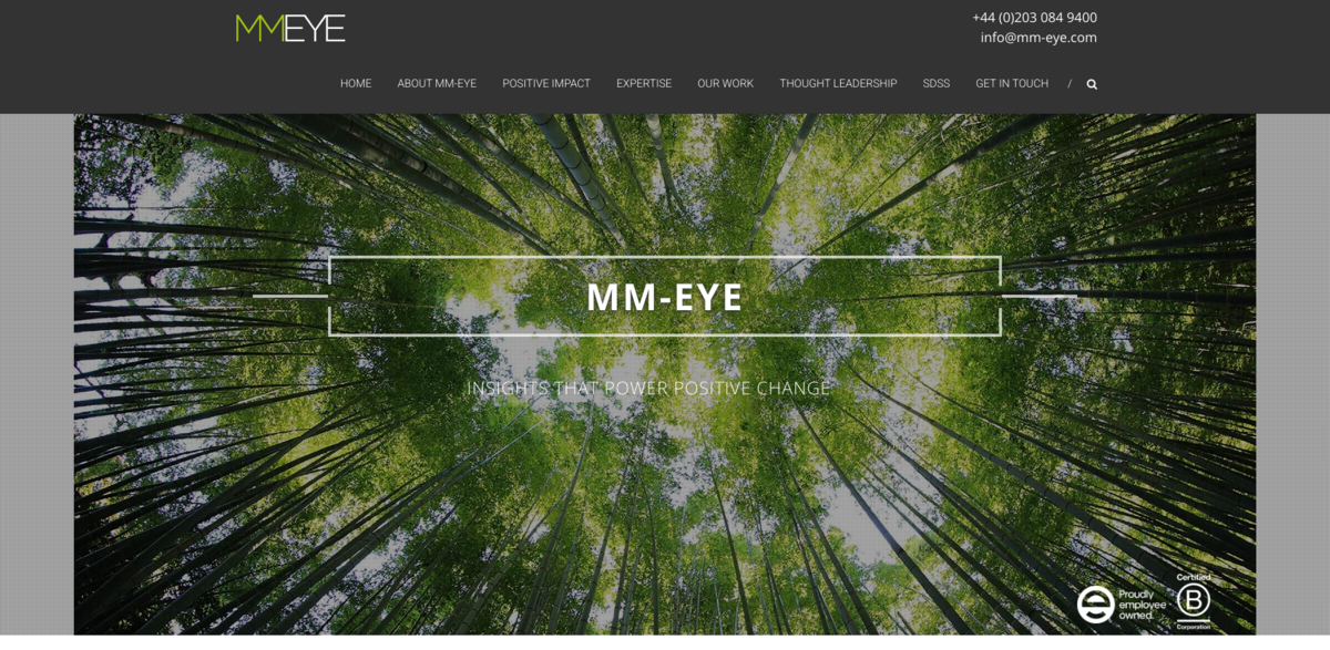 MM-Eye insights