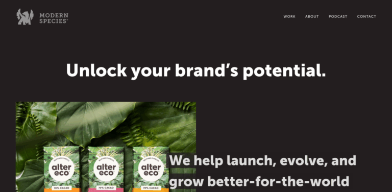Modern Species: A Sustainable Brand Design Agency for Impact-Driven Products