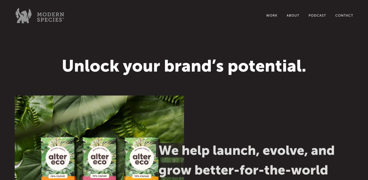 sustainable brand design