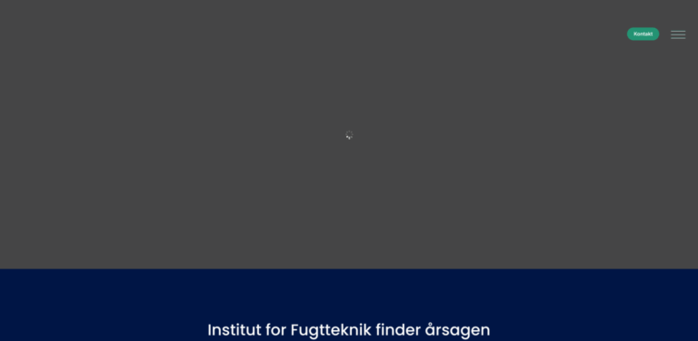 Institute for Moisture Technology: Expert Solutions for Moisture Issues in Older Homes