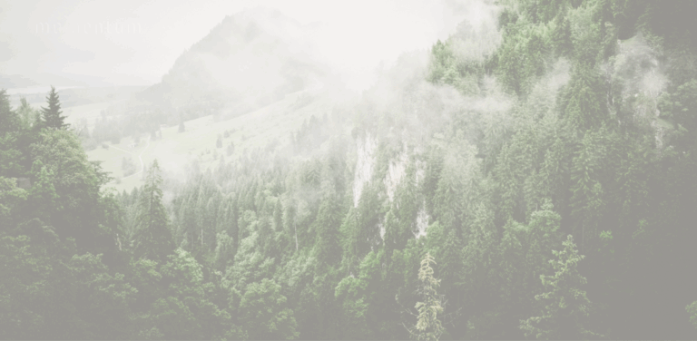 Momentum Partners: Investing in Sustainable Growth for Ocean Industries and Renewables