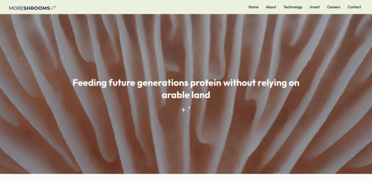 Moreshrooms: Sustainable Mycoprotein from Norwegian Seaweed