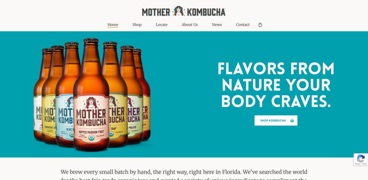 Mother Kombucha