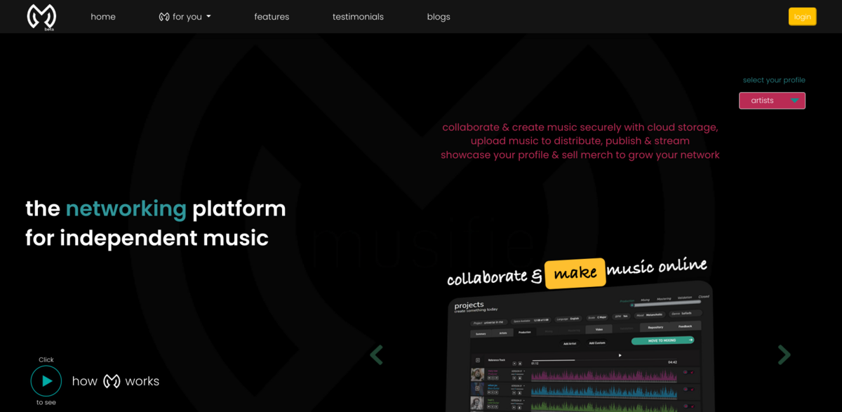 Musifie platform for musicians