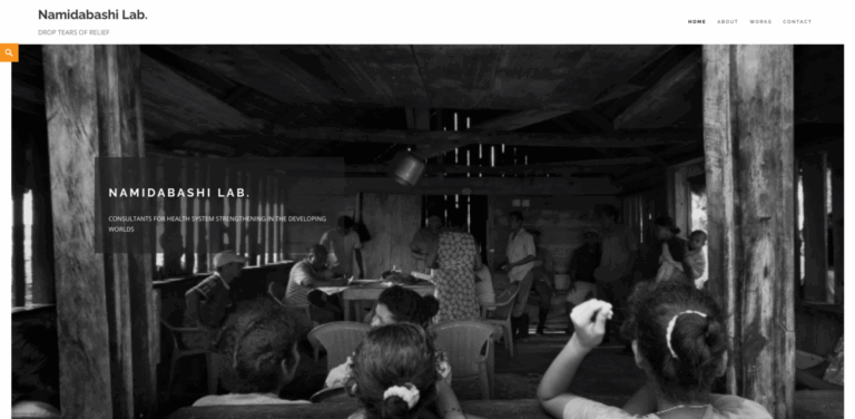 Namidabashi Lab: Consultancy for Health System Strengthening in Developing Countries