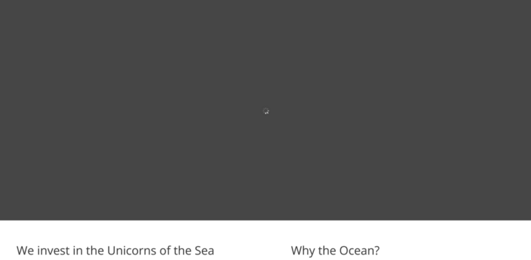 Narwhale Ventures: Investing in Sustainable Ocean Economy Startups