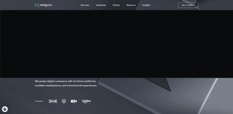 Netguru: Delivering Exceptional Software and Digital Solutions