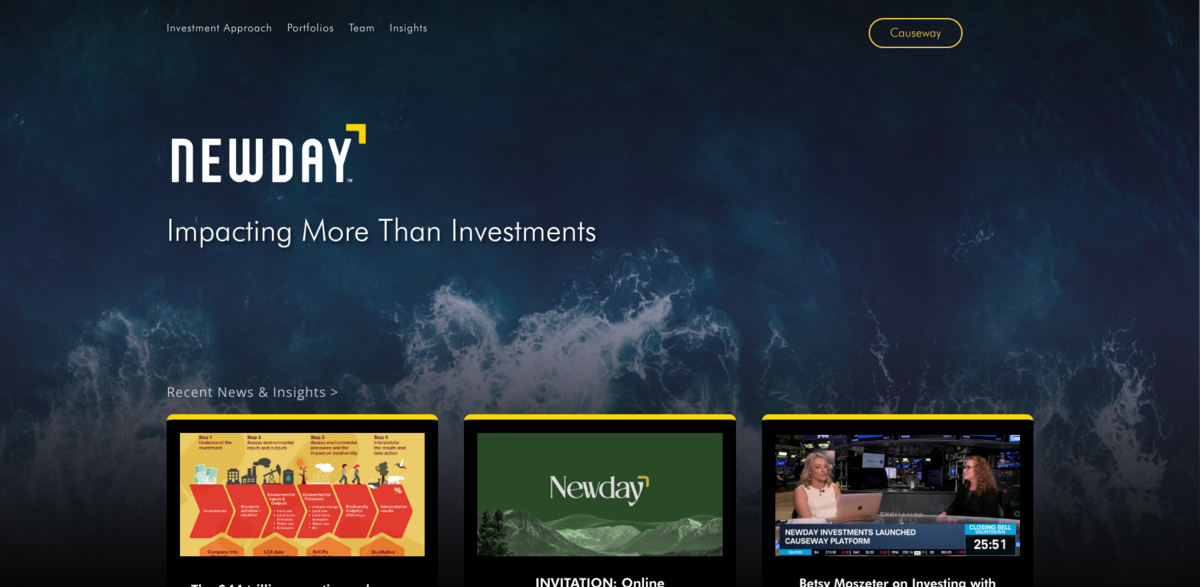 Newday investment approach