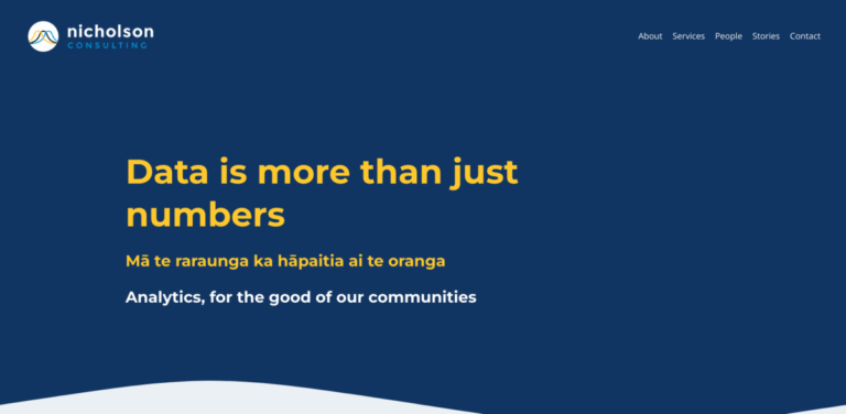 Nicholson Consulting: Empowering Communities Through Human-Centered Data Solutions