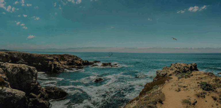 North Coast Brewing Company: Crafting Quality Beers with a Commitment to Sustainability