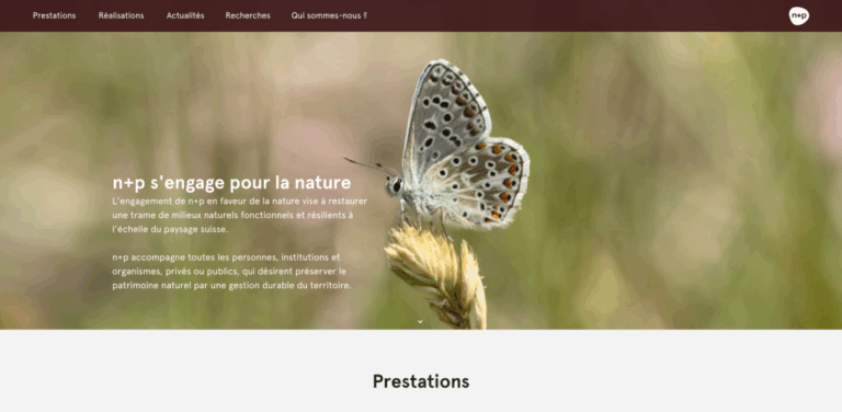 N+P: Committed to Restoring Switzerland’s Natural Environments