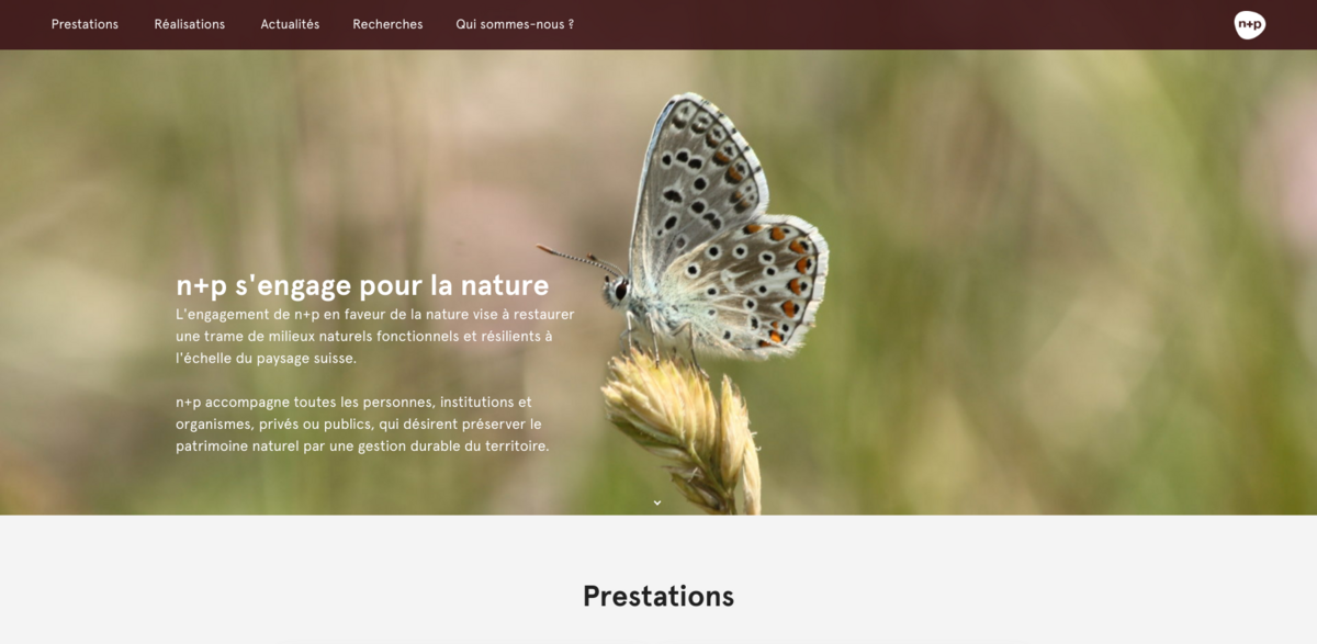 N+P natural environments