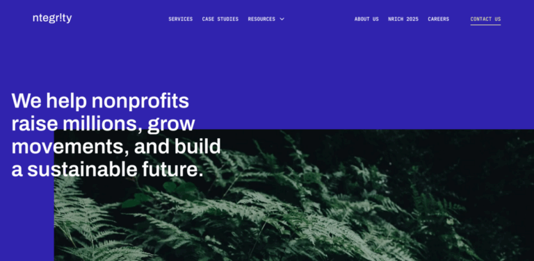 ntegrity: Empowering Nonprofits for Sustainable Growth and Impact