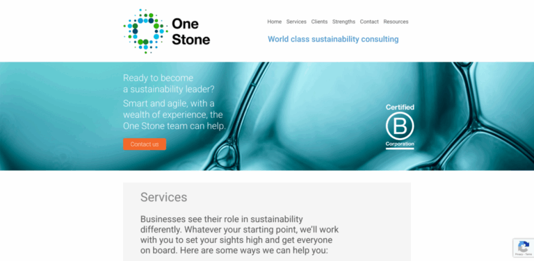 One Stone: Expert Sustainability Consulting for Business Leaders