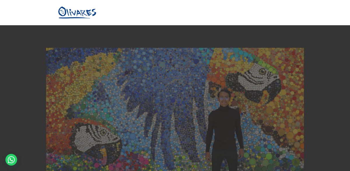 Oscar Olivares: Transforming Plastic Waste into Stunning Murals