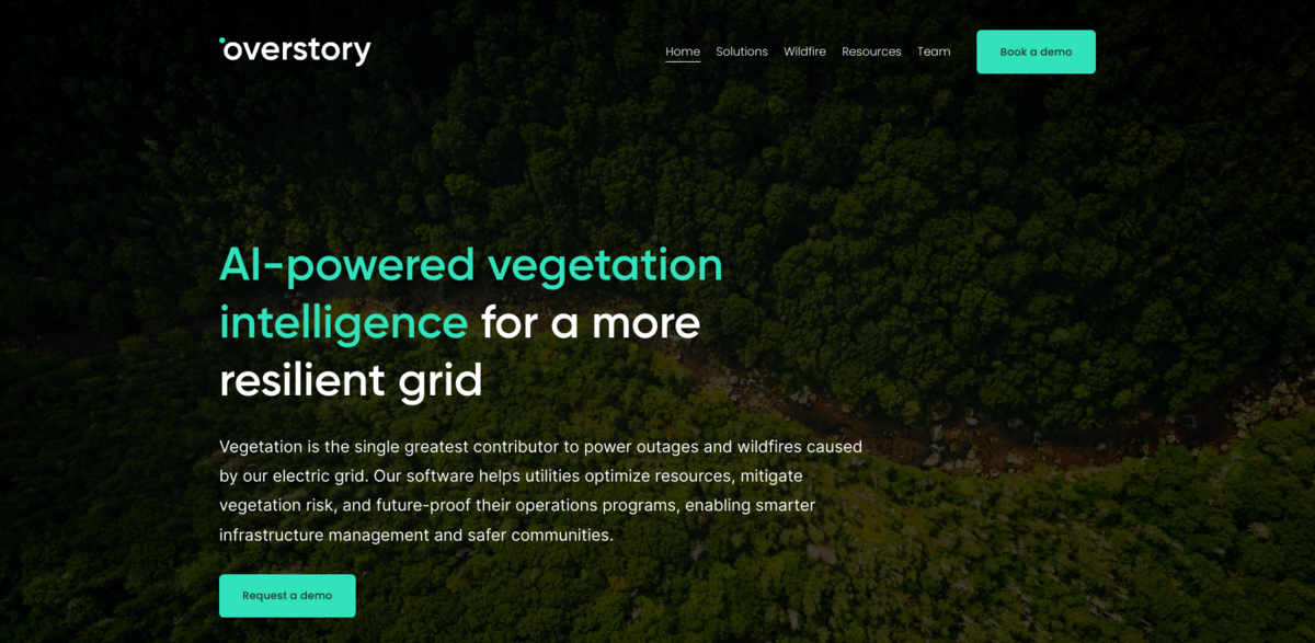 Overstory vegetation intelligence