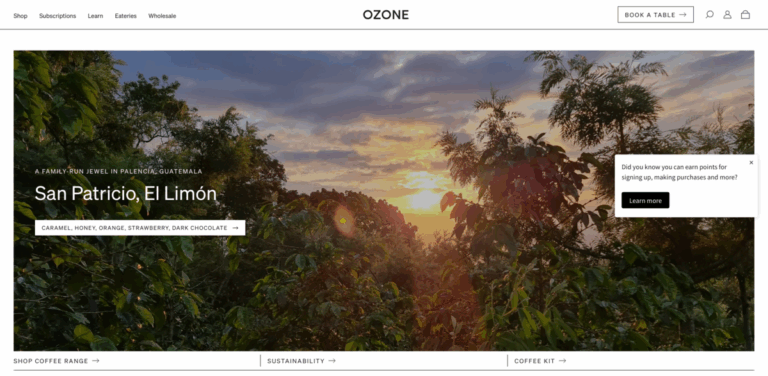 Ozone Coffee: A Specialty Coffee Company Committed to Sustainability