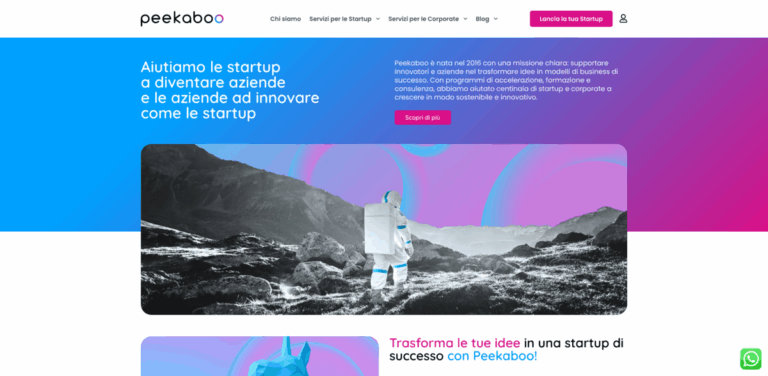 Peekaboo: Supporting Startups with Tailored Incubation Programs