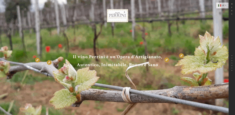 Perrini Wine: Crafting Organic and Vegan Wines from Puglia