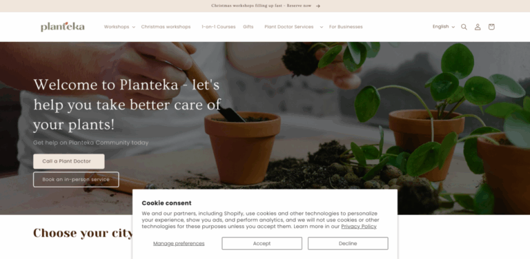 Planteka: Crafting Sustainable Christmas Decorations in Madrid, Barcelona, and Valencia