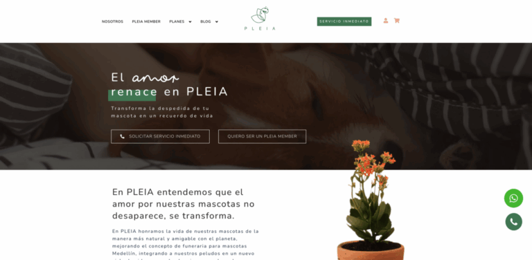 PLEIA: Eco-Friendly Natural Pet Funeral Services in Medellín