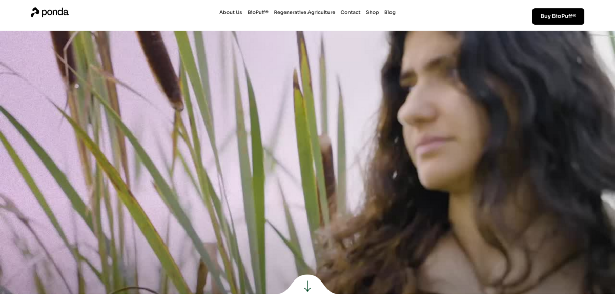 sustainable textiles