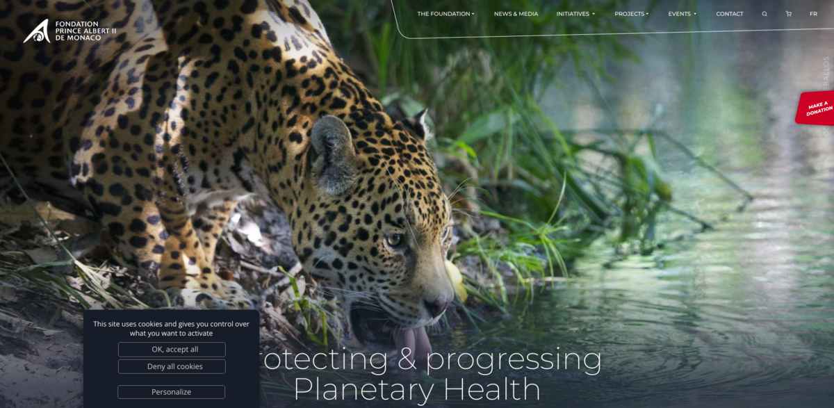 Prince Albert II of Monaco Foundation