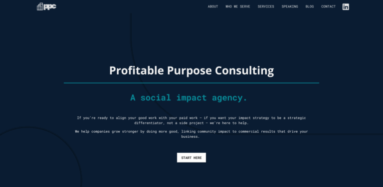 Profitable Purpose Consulting: Aligning Social Impact with Business Growth
