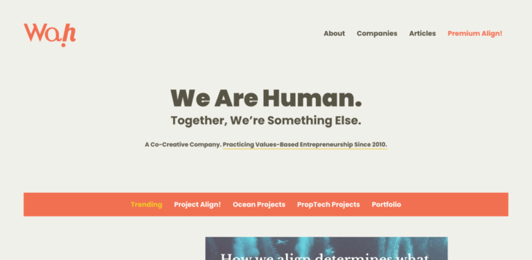 Project Align: A Movement for Values-Based Entrepreneurship and Collective Impact