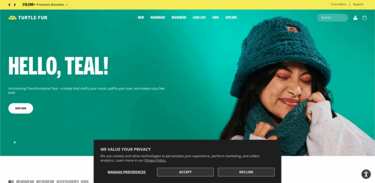 Turtle Fur: Spreading Warmth Through Community Initiatives