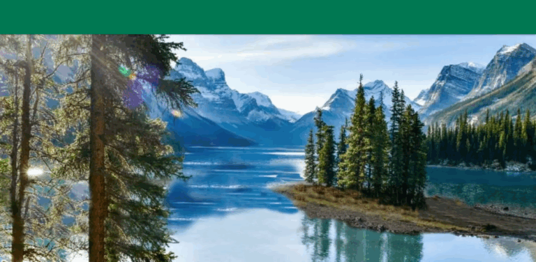 RedCloud: Custom Eco-Friendly Retail and Promotional Products