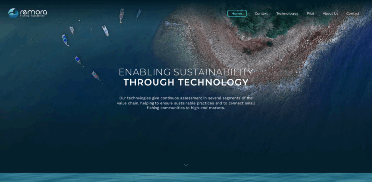 Remora Technologies: Enabling Sustainable Fishing Through Technology